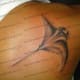 stingray-tattoos-and-designs-stingray-tattoo-meanings-tribal-stingray-tattoos-and-meanings