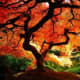 Striking fall colors.