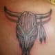 Simple bull skull with feathers.