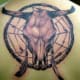 A bull skull on a dream catcher.