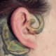 Green lizard wrapping behind the back of ear