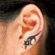 Little cat slinking along the ear lobe