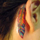Colourful feather