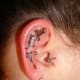 Knife optical illusion piercing through the ear lobe