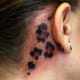 Panther print behind the ear