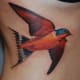 Swallow tattoo.