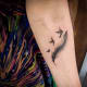 A feather tattoo with birds.