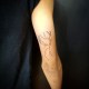 harry-potter-tattoos