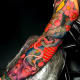 Colorful Japanese snake tattoo by Dan Arietti.
