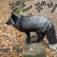 Silver Fox (Gin-gitsune)
