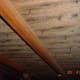 Attic mold