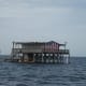 Cormorants enjoy fishing the Florida flats, too!