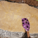 Use a spatula to spread softened butter evenly.