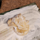Place dough on a floured surface.