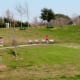 Looking across from trail at benches and hillside above Bray’s Amphitheater