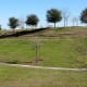 Picnic tables and bench on top of the hill in McClendon Park > This side overlooks the sports fields > Another side, the Amphitheater