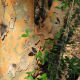 Forest Preserve Photo