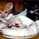 Two empty moccasins, perfect for two exploring kittens!