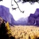 Yosemite National Park