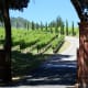 California Winery