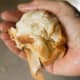 Soaked and squeezed bread