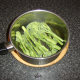 Tenderstem broccoli