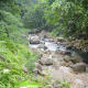 The view taken from the bridge of Tiklas Falls Resort.