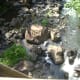 The view, taken from the Balanti-an Bridge.