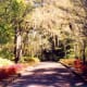 Alfred B. Maclay State Gardens in Tallahassee