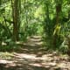 vacationing-in-florida-the-sunshine-state-florida-attractions