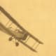 My grandfather took this photo of a biplane during WW1.