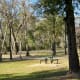 View of the park