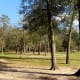 Another view of the park