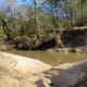 Sandy banks near Cypress Creek in this park