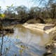 Another view of Cypress Creek in this park