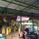 The Filipino cultural show during our Loboc River Cruise.