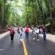 The author and her relatives at the Man-Made Forest.