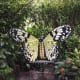 Butterfly bench at tha Conservation Center.