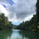 The view of Loboc River from inside the Cruise.
