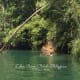 One of the view while cruising the Loboc River.