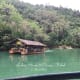 The awesome beauty of Loboc River in Bohol.