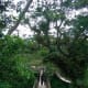 The bamboo flooring of the Twin Hanging Bridge.