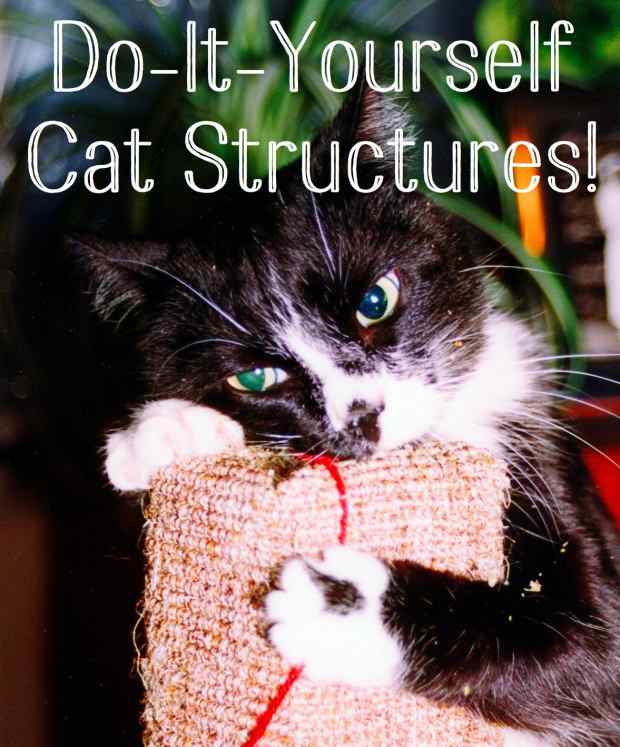 cat structures make your own