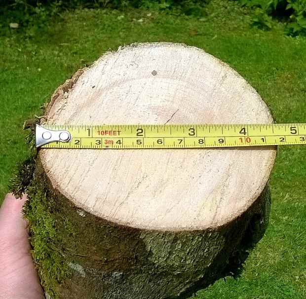 How to Cut Logs by Hand With a Bow Saw 