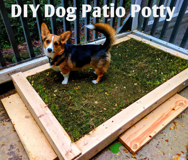 How To Build A Diy Patio Potty For Your Dog Dengarden - Easy Diy Porch Potty
