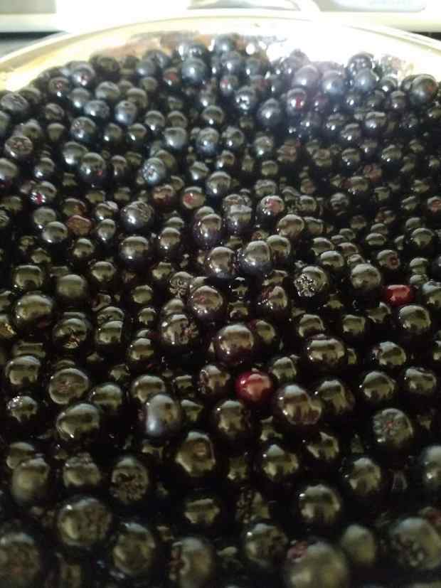 how to use a steam juicer for grapes