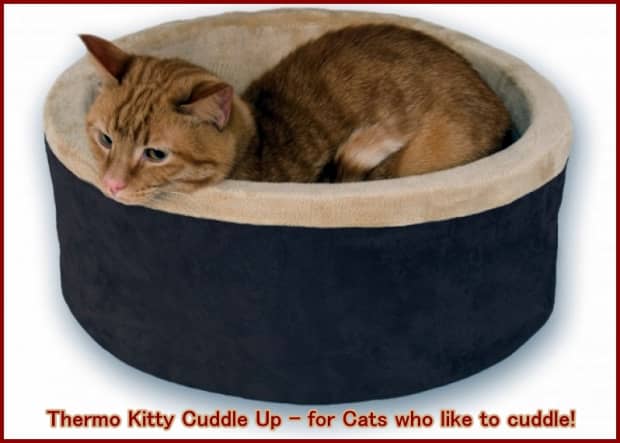 Recommended Heated Cat Beds Indoor, Rural King Heated Dog Beds