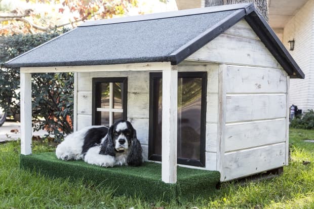 how to keep a dog house warm in winter