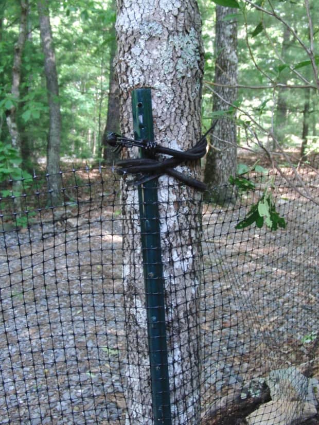 building a dog fence