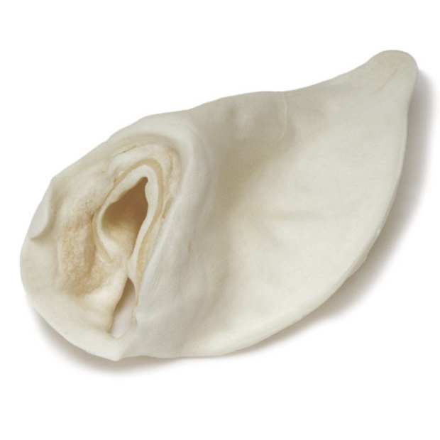 bully sticks dangerous